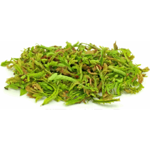 YOUNG TAMARIND Leaves 100g
