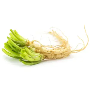 THAI CORIANDER ROOTS 100g