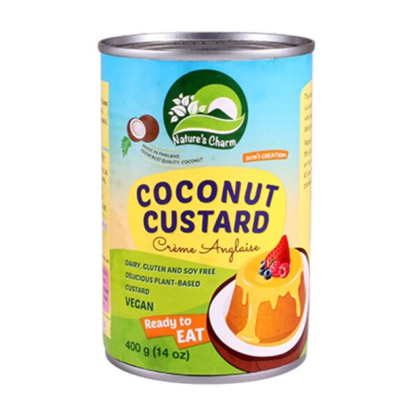 NC Coconut Custard 400g