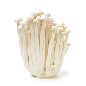White Crab Mushroom 150g
