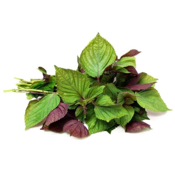 Perilla Leaf 100g
