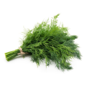 Thai Dill 100g