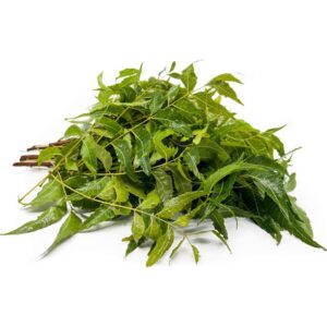 Thai Neem Blätter 100g