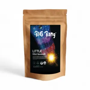 BIG BANG Little Millet Vermicelli 180g